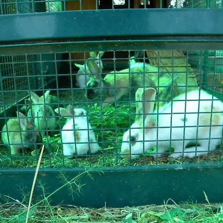 Sa Conca Ruia Orosei