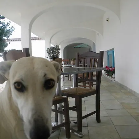 Sa Conca Ruia 팜스테이