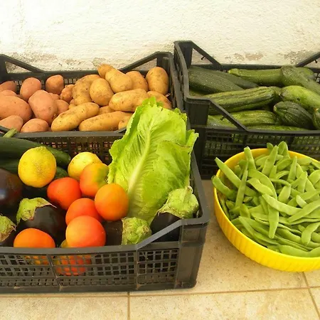 Sa Conca Ruia Bauernhof