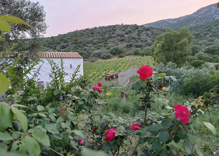 Sa Conca Ruia 农家乐