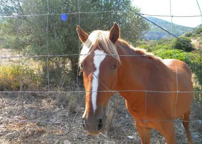 Sa Conca Ruia 奥罗塞伊