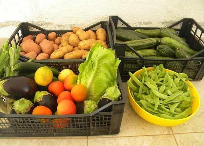 Sa Conca Ruia 农家乐