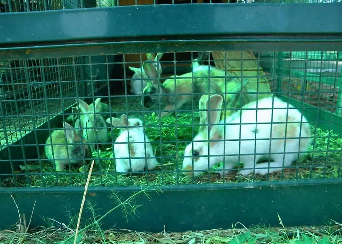 Sa Conca Ruia 奥罗塞伊