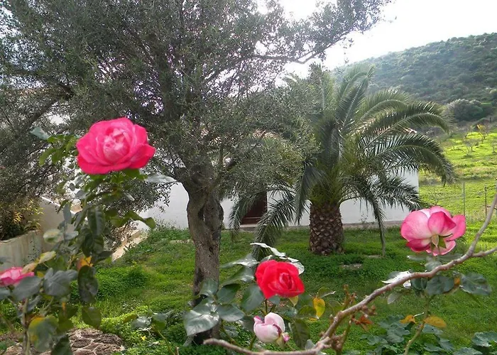 Sa Conca Ruia 农家乐 奥罗塞伊