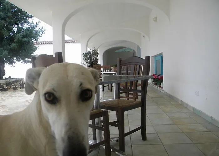 Sa Conca Ruia 农家乐